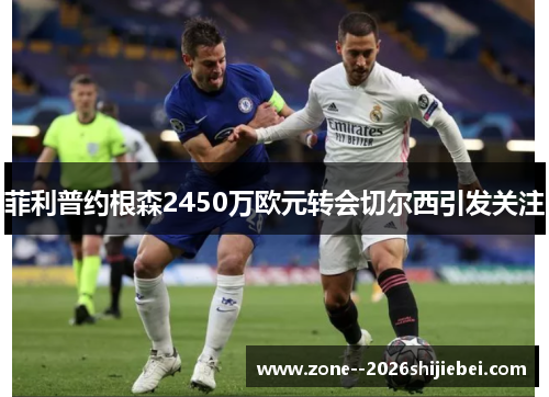 菲利普约根森2450万欧元转会切尔西引发关注