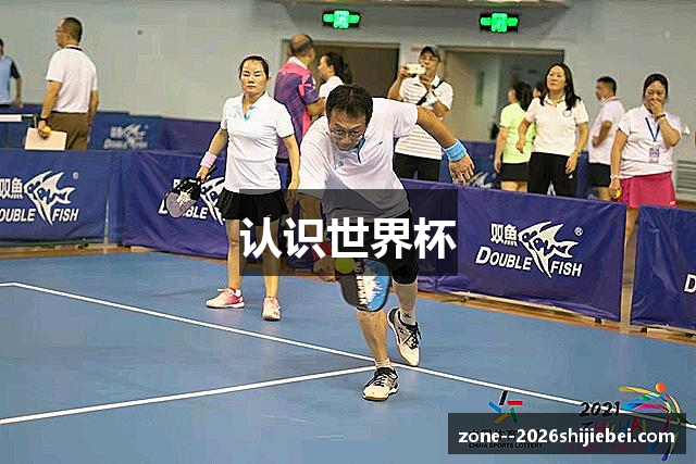 认识世界杯